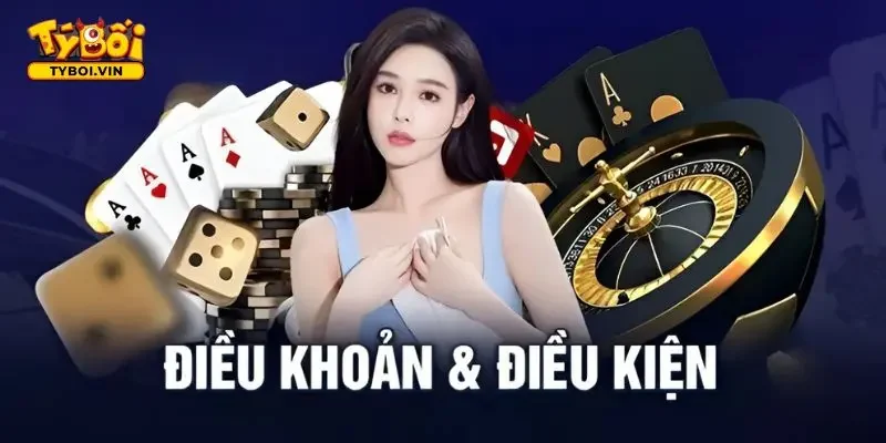 Điều khoản & điều kiện Trách nhiệm tuân thủ điều khoản & điều kiện
